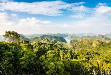 Parc national de Cat Ba - Conquérir le sommet de l'île de Cat Ba