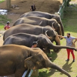 Séjour Chiang Mai – Chiang Rai 4 jours : À la conquête du Triangle d’Or légendaire