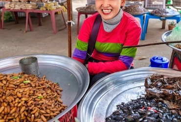 Siem Reap – Marché Aux Insectes – Buffet De 100 Plats - Ho Chi Minh Ville