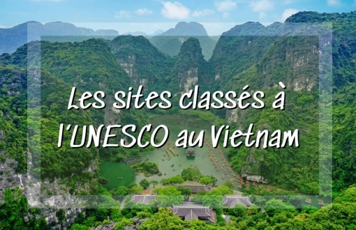 Voyage au Vietnam : les plus beaux sites classés à l’UNESCO à voir une fois dans la vie