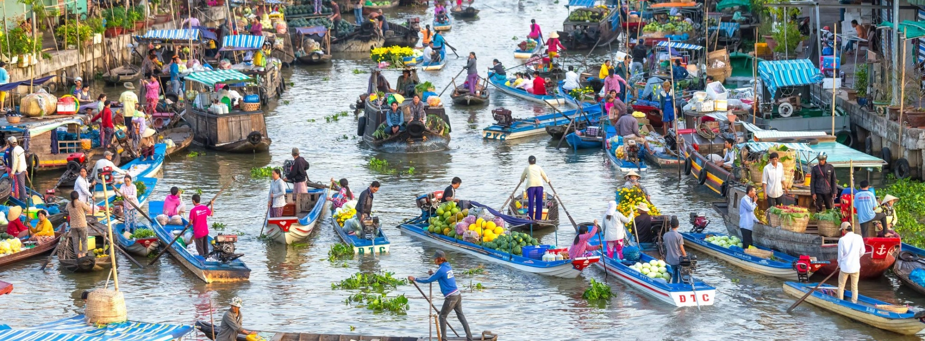 Que faire au Sud du Vietnam ? Top 10 activités pour un voyage inoubliable