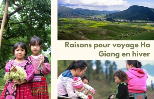 8 raisons incontournables de voyager à Ha Giang en hiver