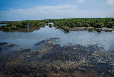 Jour 2 : Ecohost – Parc national de Xuan Thuy – Basilique de Phu Nhai – Hanoï (Petit-déjeuner/Déjeuner)