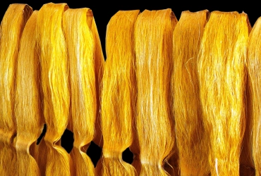 Hanoï / Ninh Binh – Pagode de Co Le – Village de la soie de Co Chat – Hai Hau – Village de Pham Phao – Ecohost (-/L/D)