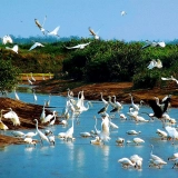 Séjour hors des sentiers battus à Nam Dinh 2 jours – Nature et villages