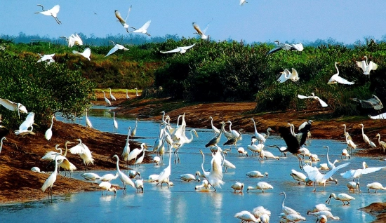 Séjour hors des sentiers battus à Nam Dinh 2 jours – Nature et villages