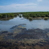 Séjour hors des sentiers battus à Nam Dinh 2 jours – Nature et villages