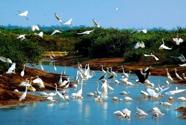 HANOÏ / NINH BINH – VILLAGE DE MARIONNETTES SUR L’EAU DE HONG QUANG – VILLAGE DE SOIE DE CO CHAT – HAI HAU – PHAM PHAO (-/L/-)