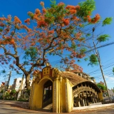 Visite à Nam Dinh en une journée : églises et villages