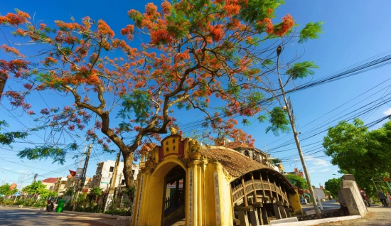 Excursion à Nam Dinh un jour – Artisanat local & traditions rurales