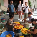 Circuit Nam Dinh 2 jours : immersion culturelle et nature authentique