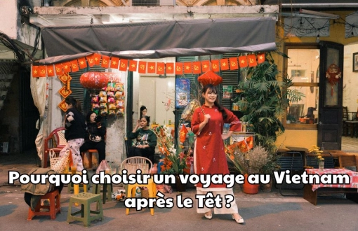 Pourquoi choisir un voyage au Vietnam après les fêtes du Têt ?