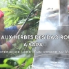 Bain aux herbes des Dao rouges à Sapa : une expérience lors d’un voyage au Vietnam