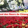 Festival des fleurs de Chiang Mai : événement incontournable lors d’un voyage en Thaïlande