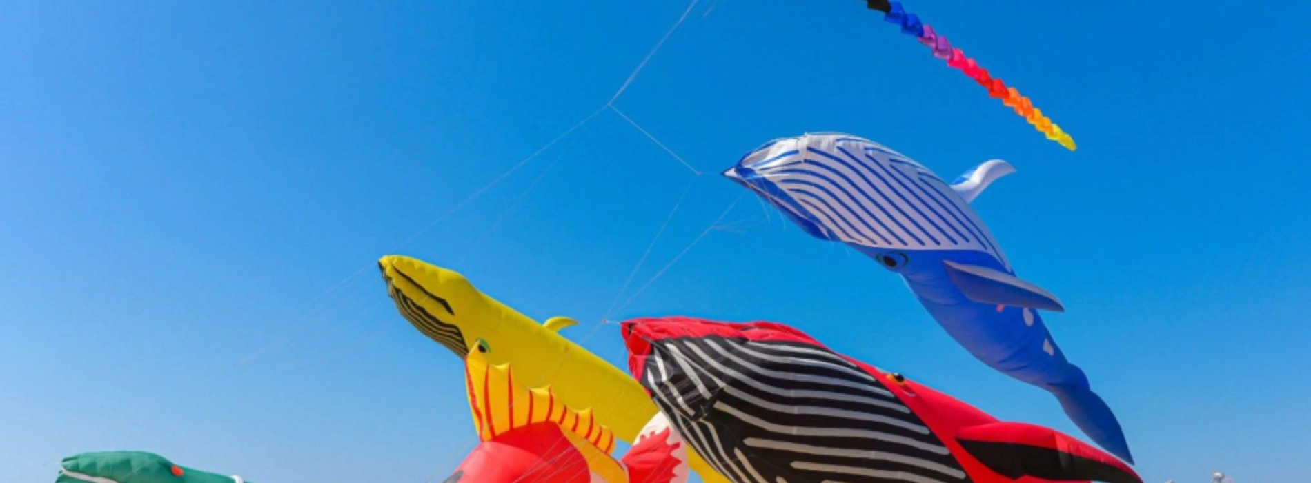 Festival international de cerfs-volants en Thaïlande : une expérience unique de voyage en Thaïlande