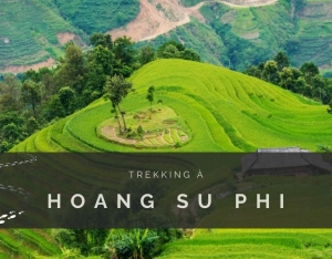 Trekking à Hoang Su Phi : Guide complet pour un circuit au Nord Vietnam