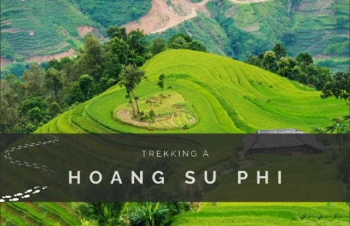 Trekking à Hoang Su Phi : Guide complet pour un circuit au Nord Vietnam