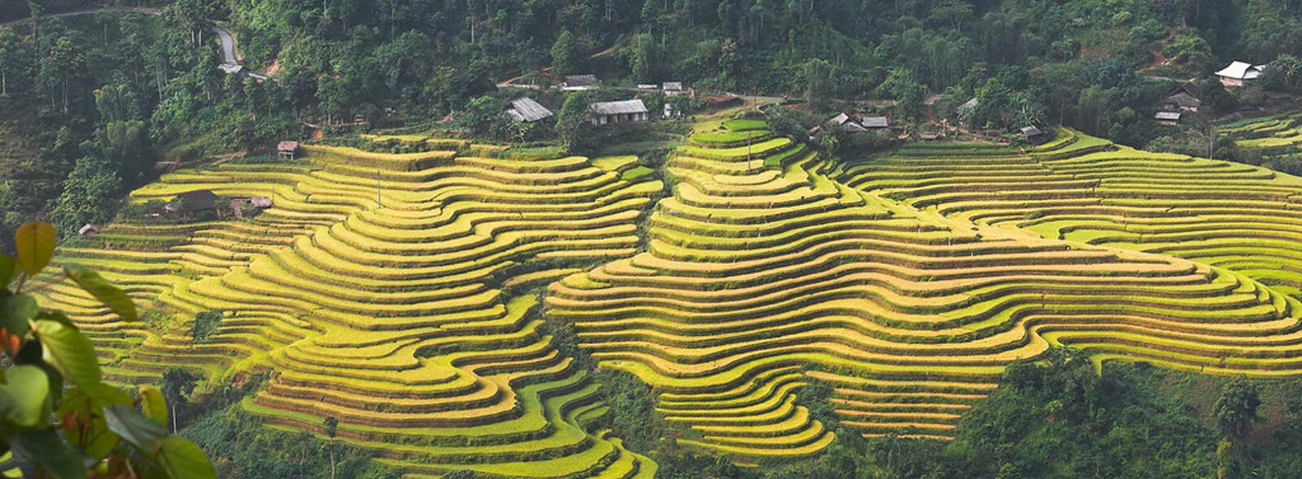 Trekking à Hoang Su Phi : Guide complet pour un circuit au Nord Vietnam