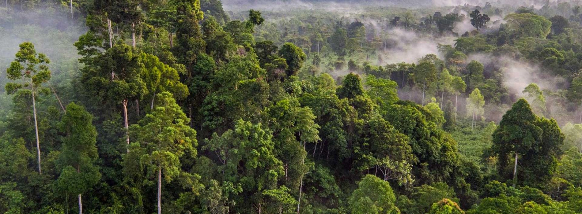 Voyager dans les régions montagneuses du Cambodge : guide complet pour les aventuriers