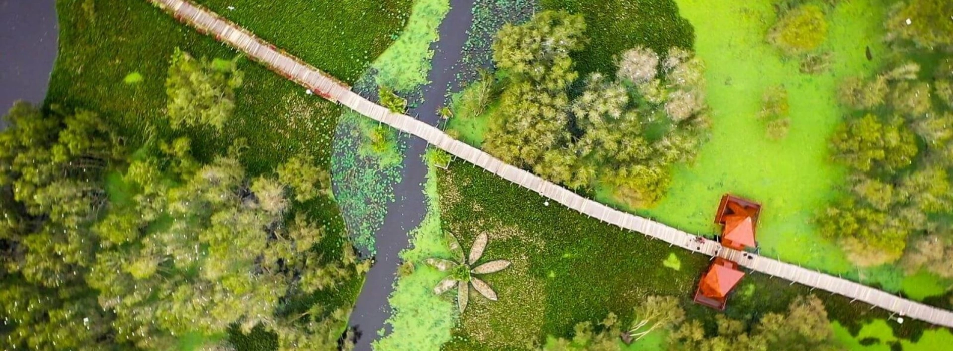 Ben Tre ou Can Tho : quelles destinations au delta du Mékong choisir ?