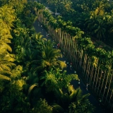 Voyage au Vietnam 2 semaines : itinéraire complet du Nord au Sud