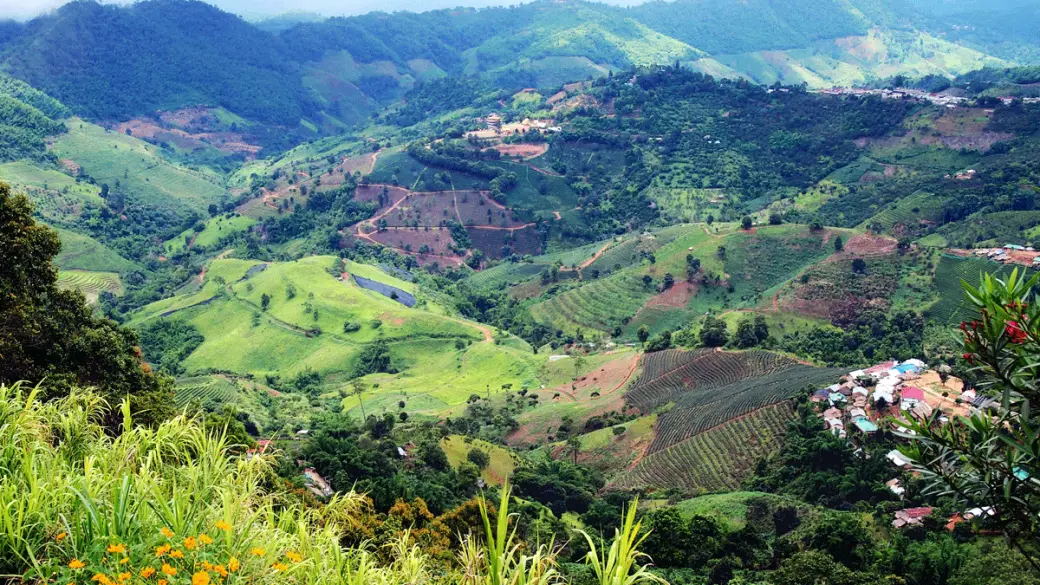 Chiang Rai – Doi Mae Salong – Triangle d’or – Chiang Rai