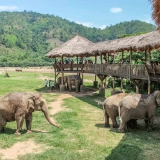 Tour Thaïlande 4 jours : Chiang Mai & festival Yi Peng magique