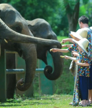 11 jours en Thaïlande : itinéraire de Yi Peng, Chiang Mai & Koh Ngai