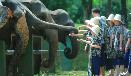 11 jours en Thaïlande : itinéraire de Yi Peng, Chiang Mai & Koh Ngai