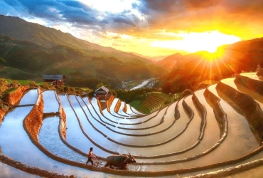 Nghia Lo - Mu Cang Chai (B/L/D)