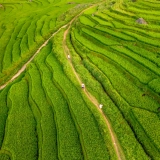 Randonnée Mai Chau 5 jours : À la rencontre des Thaïs