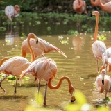 Séjours balnéaires 4 jours à Phu Quoc :  Perle du Vietnam