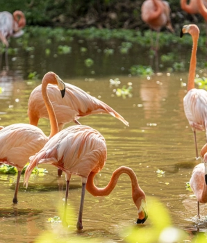Séjours balnéaires 4 jours à Phu Quoc :  Perle du Vietnam