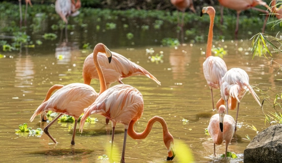 Séjours balnéaires 4 jours à Phu Quoc :  Perle du Vietnam