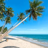 Vacances de 4 jours à Phan Thiet : Séjour Balnéaire Inoubliable