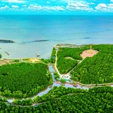 Voyage culinaire du Sud de 4 jours et 3 nuits : découvrez le delta coloré