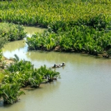 Sud du Vietnam en 5 jours : Ho Chi Minh, Cu Chi et delta du Mékong