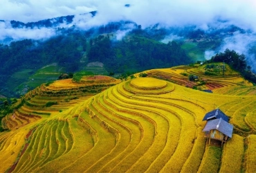Tavan - Den Thang - Ta Trung Ho (B, L, D)
