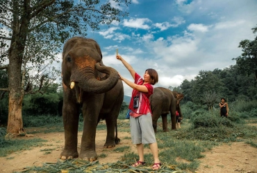 Chiang Mai – Elephant Jungle Sanctuary (B/L)